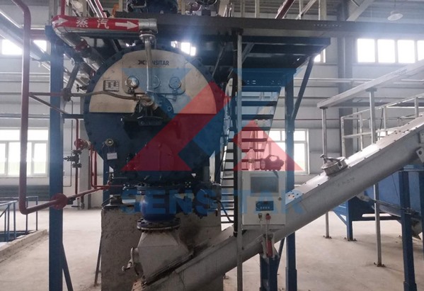 大庆市林甸县2吨无害化处理项目现场