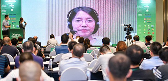 当猪肉价格下降后，哪些替代肉类最可能被“挤出”？