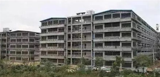 巨头纷纷开始“楼房养猪”，它到底牛在何处？