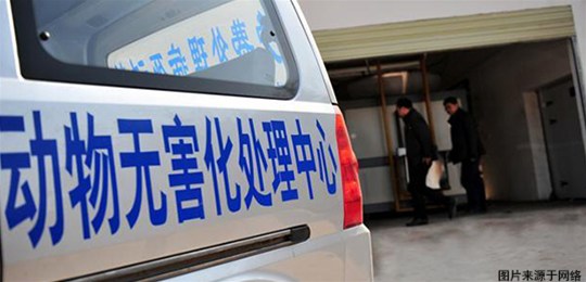 病死畜禽无害化处理存在问题及对策 