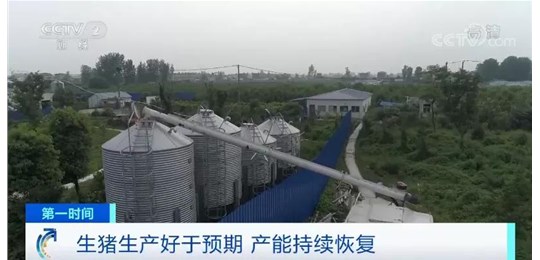 央视：1头猪赚2200元！生猪产能恢复好于预期，猪价超前期高点将不再可能？